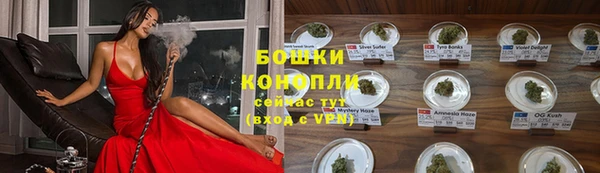 дживик Баксан