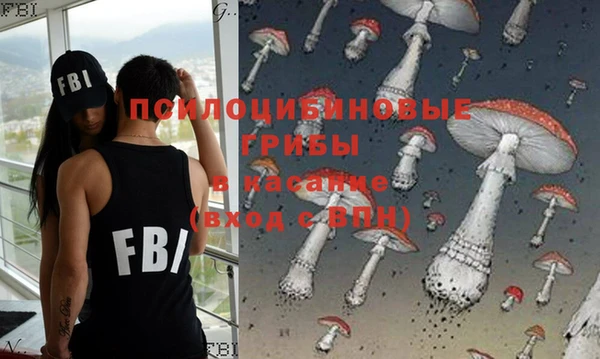 дживик Баксан