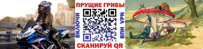 Псилоцибиновые грибы мухоморы  цена наркотик  Барабинск 