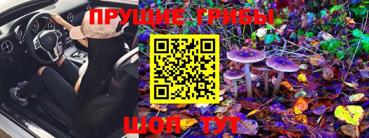 Псилоцибиновые грибы Cubensis  Вход с VPN  Галлюциногенные грибы мухоморы  Барабинск 