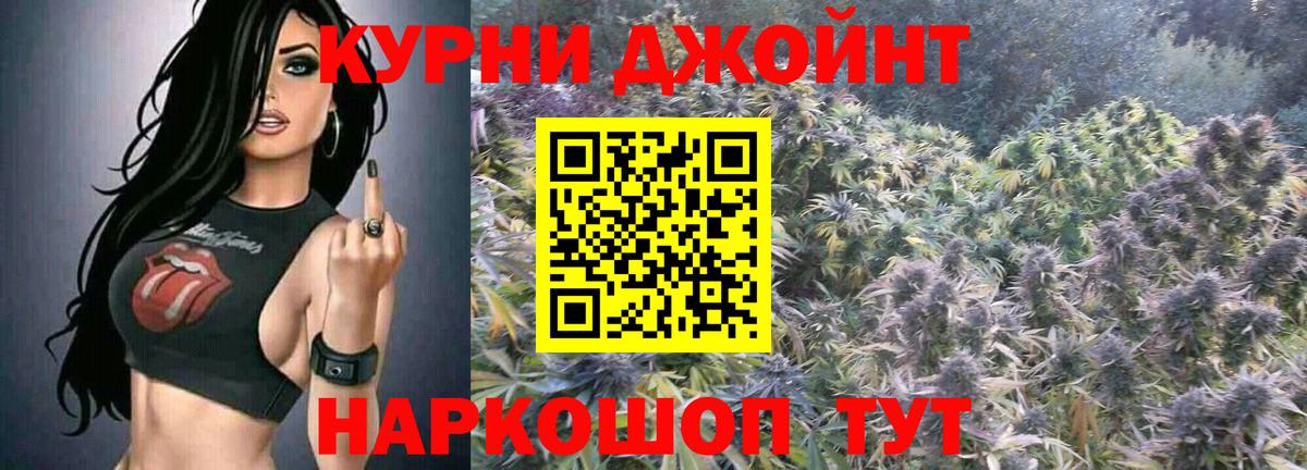 Бошки Шишки план Барабинск